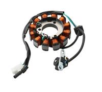 Bobina per moto Magneto Statore 31120-KWF-941 compatibile con parti di motociclette automobilistiche CB 125cc 2008 2009 2010 2011 2012 2013 2014 2015 per il numero di parte 31120-KWF-941