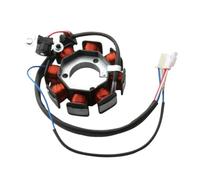 Bobina per moto Magneto Statore 3D9-H1410-01 compatibile con parti di motociclette automobilistiche YBR 125 ED ESD XT125 R XT125X per il numero di parte 3D9-H1410-01