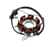 Bobina Per Motocicletta Magneto Statore Per YBR125 Per YBR 125 ED ESD Per XT125 R Per XT125X 3D9-H1410-01 Di Accensione Motore