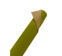 Bobina Rotolo Carta Tinta unita VERDE CHIARO E AVANA 80 cm x 25 metri 1C9A