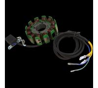 Bobina Stator Moto Compatibile Con CG125 300 200W 12 Poli Generatore Di Corrente Per Moto Statore Bobina Magnete Motore Pezzi Di Ricambio Accessori Di Ricambio