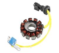 Bobina Stator Moto Compatibile Con Derbi Per Boulevard 125 2002-2004 2008-2015 Per Boulevard 200 2004-2005 Motore Statore Magneto Bobina 584690 639727 828135 827902