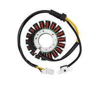 Bobina Stator Moto Per Daytona 675 2006 2007 2008 2009 2010 2011 2012 2013 2014 2015 2016 2017 T1300039 Generatore Statore Bobina Comp Moto Accessori