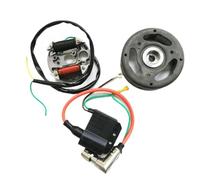 BOBINA Statore 12V 35W Zundapp Kreidler Hercules Puch Per Accensione Alternatore Accensione Gara Ciclomotore Elettronico