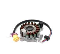 Bobina statore 250CC 12V 16 poli compatibile con Basan JS250 ATV QUAD ATV250-5