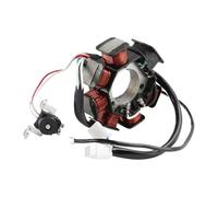 Bobina Statore accensione Bobina Di Accensione Per Moto, Statore, Magnete, Alternatore, 7 Bobine Per YBR125 2004, YBR125E 2006, YBR125EGS 2010, Aria Condizionata