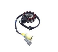 Bobina Statore accensione Bobina Statore Per Motocicletta Per NC250 NC450 KAYO T6 BSE Parti Del Motore Magneto Generatore Di Accensione Gruppo