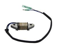 Bobina Statore Accensione Compatibile Con M(W/E/T/H/O) S/L P50 S/L PRO 50D