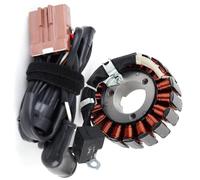 Bobina Statore Accensione Compatibile Con Piaggio Per X7 250 2008 Per X8 250 2005-2008 Per XEvo 250 2007 2008 2009 2010-2016 Accessori Per Generatore Di Accensione Bobina Statore