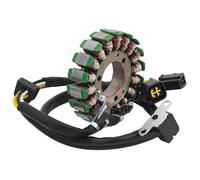 Bobina Statore Accensione Compatibile Con Suzuki Per Djebel 250 1998-1999 2000 2001 2002 2003 2004 2005 2006 2007 2008 Parti Del Generatore Bobina Dello Statore Comp 32101-14D10-000