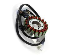 Bobina Statore Accensione Compatibile Con Yamaha Per XV250 Per V-Star Per XVS 250 2008-2017 2018 2019 2020 2021 2022 2023 2024 2UJ-81410-00-00 Statore Magneto Bobina Di Accensione
