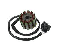 Bobina Statore accensione Generatore Di Accensione Magnete Per Moto, Rotore, Volano, Statore, Bobina Per YZF R1 2004-2008, FZ1 2006-2010