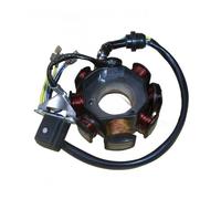 Bobina Statore accensione Motociclo A Tre Ruote ATV CG125 150 300 Bobina Generatore Motore Magnetico Statore 4 8 11 12 18 Poli 160W 200 250W 350W