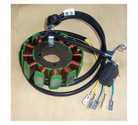 Bobina Statore accensione Motociclo A Tre Ruote ATV CG125 150 300 Bobina Generatore Motore Magnetico Statore 4 8 11 12 18 Poli 160W 200 250W 350W