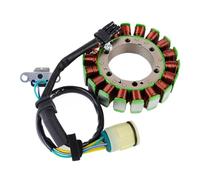 Bobina Statore Accensione Per TRX680 Per Rincon 2006 2007 2008 2009 2010 2011 2012 2013 2014 31120-HN8-A60 31120-HN8-A61 31120-HN8-A62 Statore Bobina Di Accensione Accessorio