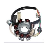 Bobina Statore accensione Piastra Statore Magnete Accensione Moto Bobina A 8 Poli AC Per CG125-8 150cc 250cc Motocross ATV