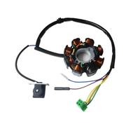 Bobina Statore accensione Statore Magnete A 8 Poli E 5 Fili Alimentato A Corrente Continua Per Scooter A 4 Tempi, Ciclomotore, ATV, Go-kart GY6 125 150 Cc 152QMI 157QMJ 1P57QMJ