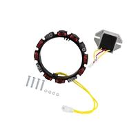 Bobina statore alternatore 2 pin con regolatore Adatto a motori Briggs 10-16 Amp 592830 sostituisce OEM 696458 691064 parti