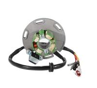 Bobina statore alternatore moto compatibile con TM Racing MX SMX 85 100 125 144 2S MX Junior 2010 2011 2012 2013 2014 2015 2016 2017 2018