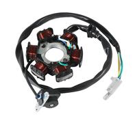 Bobina Statore Alternatore per Aeon ATV RS 125 RS 180 RSII 125 RSII 180