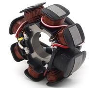 Bobina Statore Alternatore per Husqvarna TE250 TE300 55439204000 TX300 2017-2018