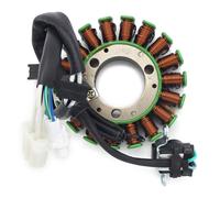 Bobina Statore Alternatore Per Yamaha YBR250 YS250 5D1-H1410-00 5D1-H1410-01