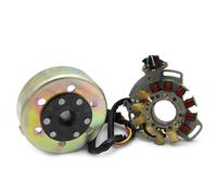 Bobina Statore Alternatore+Rotor assy Per Yamaha Banshee 350 YFZ350 1987-1994
