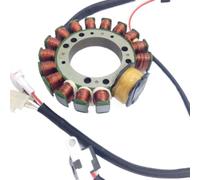 Bobina Statore Bobina Accensione Generatore Compatibile Con Warrior 350 ATV Quad Bike