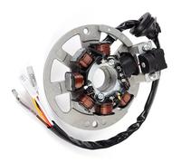 Bobina Statore Compatibile Con Aprilia Per Area51 1998 1999 2000 Per Gulliver50 1995-1998 Per Rally50 1995-2004 Bobina Statore Moto