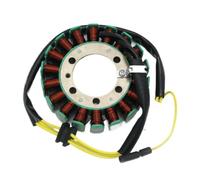 Bobina statore compatibile con CN250 CF250 Helix 250 250cc Scooter ciclomotore 18 poli trifase DC moto generatore magneto