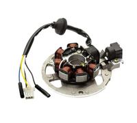 Bobina statore compatibile con Eton RXL50 AXL50 TXL50 Thunder Sierra Impulse Modelli Magneto Parte per il motore