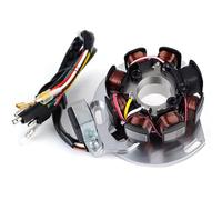 Bobina Statore Compatibile Con Gas Per Gas 2003-2004 Per SM125 Per SM250 Per EC125 Bobina Statore Moto ME250034005