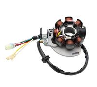 Bobina Statore Compatibile Con Husqvarna TE125 HQV 125 250 300 | Adatto ai modelli EXC, XC, XC-W ; Numero di parte 54839204000