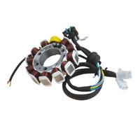 Bobina statore compatibile con il motore motociclistico YBR-12