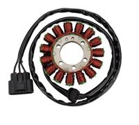 Bobina Statore Compatibile Con S1000RR Per K46 2009-2017 Per K42 2011-2014 Per S1000R Per K47 2014-2018 Bobina Statore Di Ricambio Per Moto