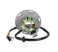 Bobina statore compatibile con TM Racing 80 85 100 125 144 300 Two Stroke Junior MX 2010 2011 2012 2013