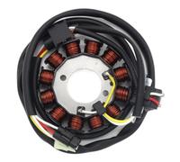 Bobina Statore Compatibile Con Yamaha WR450F 2003-2006