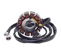 Bobina statore del generatore compatibile con WR250F WR250F WR250F 2004-2014