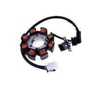 Bobina Statore Generatore Bicicletta Moto 8 Poli Magnete Per LINDY 125 UM125 LINDY125R Lindy 125cc HJ125T-18 Statore Magnete Piastra Bobina