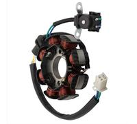 Bobina Statore Generatore Compatibile Con Suzuki Per GSX110 Per FX110 Per Viva 110 Per Best110 Generatore Magneto Statore Bobina Moto Parte Di Ricambio