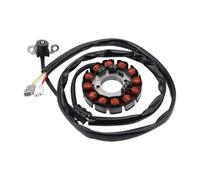 Bobina Statore Generatore Compatibile Con WR250F 2004 2005 2006 2007 2008 2009 2010 2011 2012 2013 2014 Bobina Dello Statore Del Motore Del Motociclo