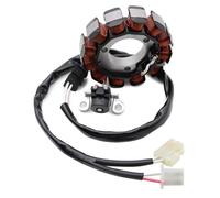 Bobina Statore Generatore Compatibile Con Yamaha Per CZD300 Per XMAX300 Per TECH Per MAX 2023-2024 Per CZD250 2018-2024 Bobina Magnete Statore Moto