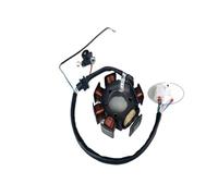 Bobina statore generatore magneto compatibile con YBR125 125CC XT125R 125CC XT125X 125CC Moto 2005-2014 2007-2008(Euro I)