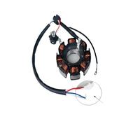 Bobina statore generatore magneto compatibile con YBR125 125CC XT125R 125CC XT125X 125CC Moto 2005-2014 2007-2008(Euro II)