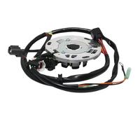Bobina statore generatore magneto Compatible with moto compatibile con KX125 KX125-K5 KX 125 1998 21003-1379 21003-1321 motore di accensione 12V part