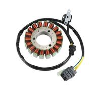 Bobina statore generatore magneto for moto AEG-31120-REA-000 adatta for ATV 600 UA60A-6 UA60A1-6 Delu UA60A2-6 L0 2010