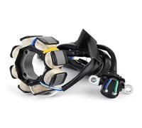 Bobina statore generatore magneto per CRF250 per CRF250X 2004-2009/2012-2017