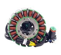 Bobina statore generatore moto compatibile con Can-Am DS 450 2008-2015 DS450 420296323 Ricambi moto