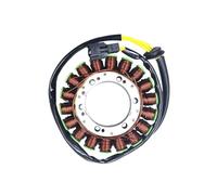 Bobina statore generatore moto compatibile con F650GS F700GS F800R F800S F800GS F800ST F800GT