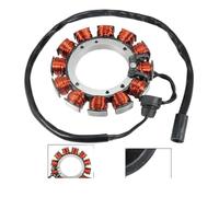 Bobina statore generatore moto compatibile con M2 Cyclone M2 LOW Cyclone S1W Bianco X1 Blast 500 2996789C